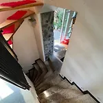 House With Garden In The City Center