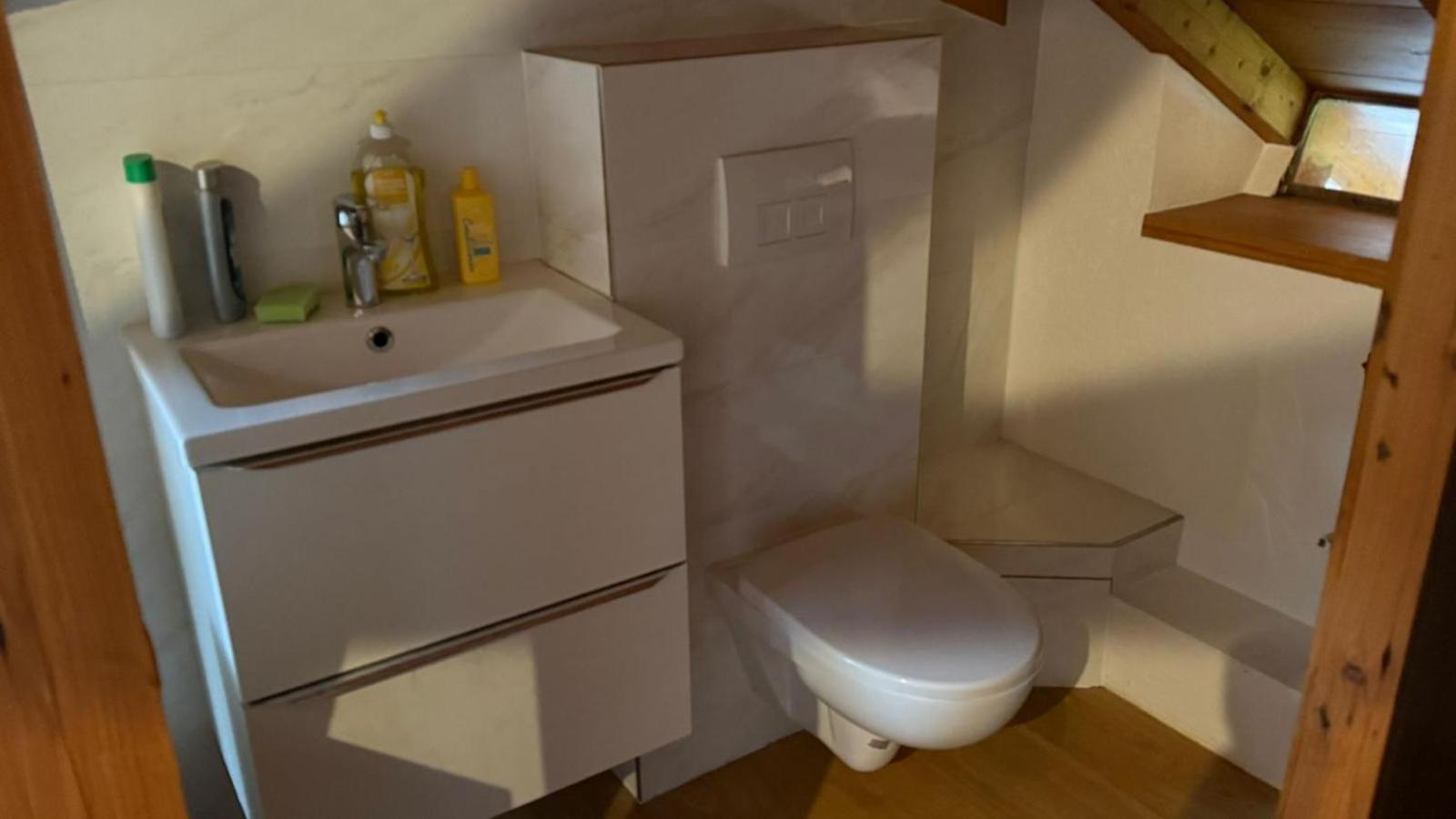 Homestay House With Garden In The Center Geneva