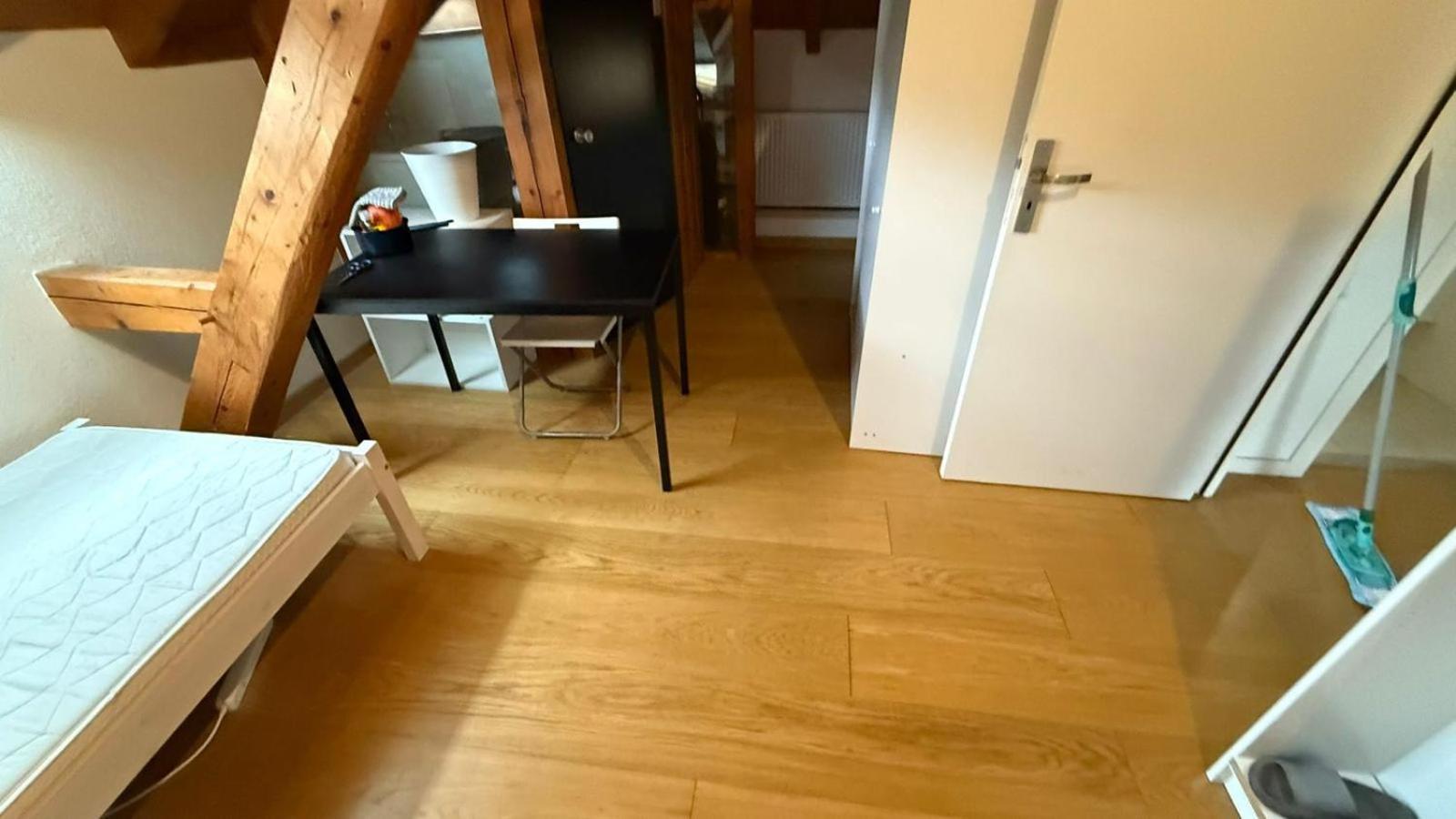 House With Garden In The Center * Geneva