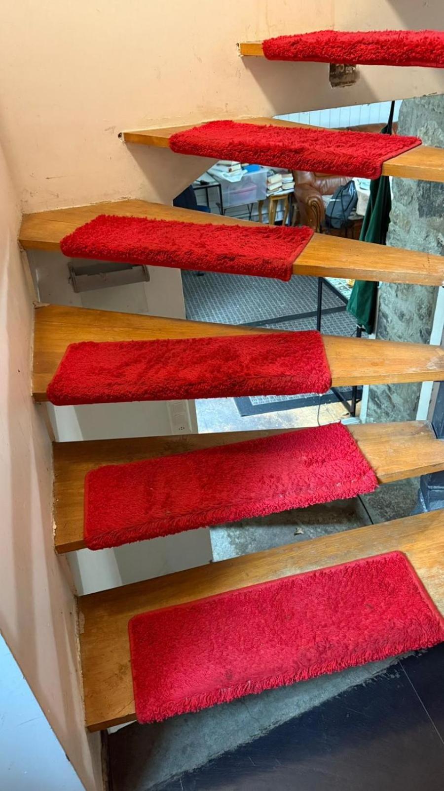 House With Garden In The Center Homestay *