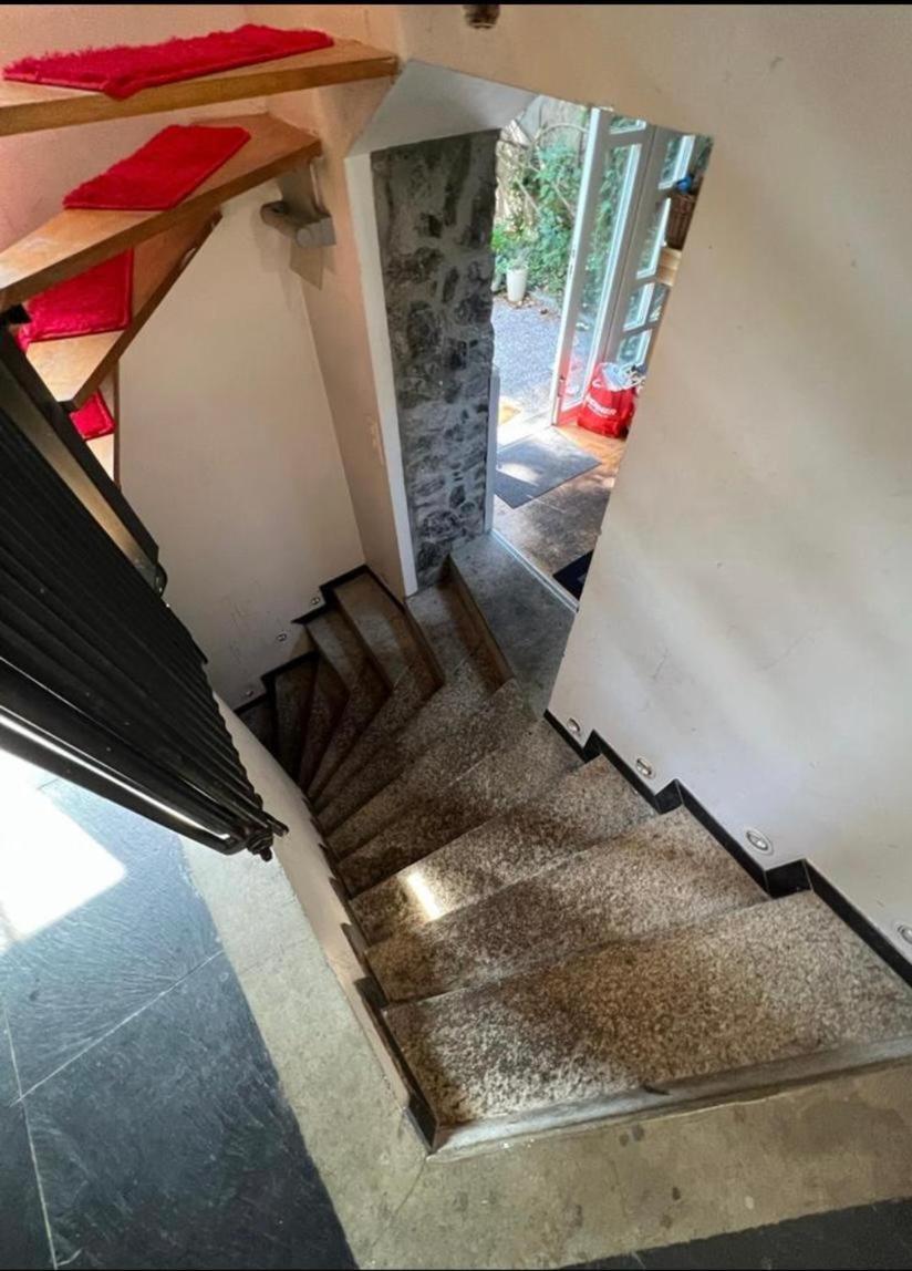 House With Garden In The Center Genève