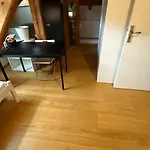 House With Garden In The City Center