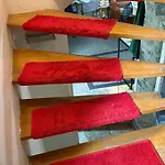 House With Garden In The City Center